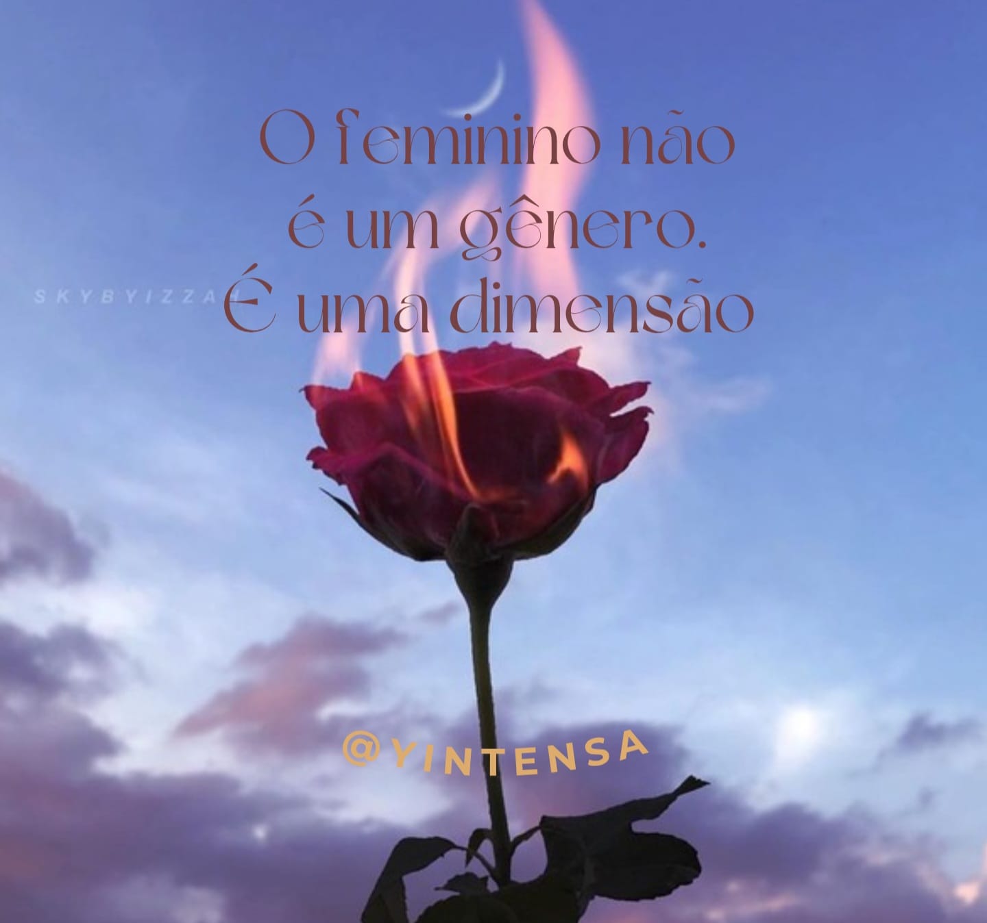 Arte da Yintensa: O feminino não é um gênero. É uma dimensão.